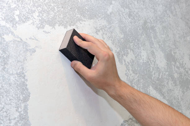 Professional Mold Removal in Los Angeles, CA
