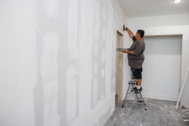 Mold Removal for HVAC Installations in Los Angeles, CA